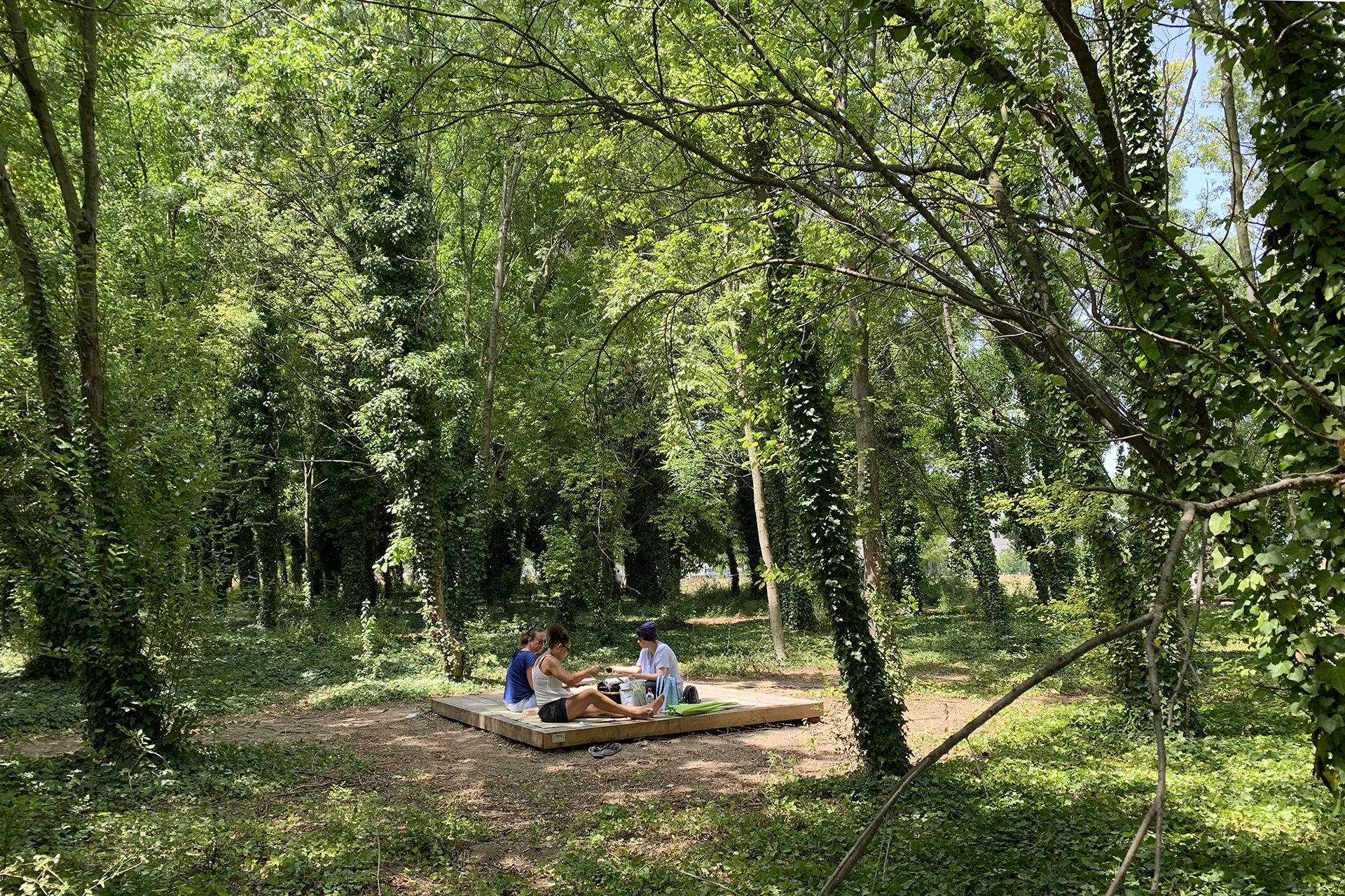 Le Parc du Bois des Noyers